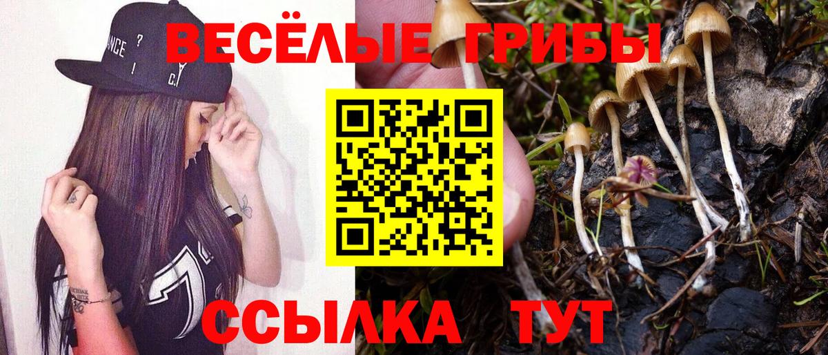 Галлюциногенные грибы ЛСД Кировск