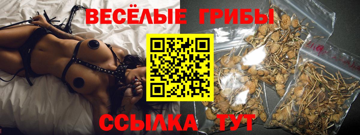 Лсд 25  Кировск  Вход с VPN  МЕФ кристаллы  АМФ   Экстази  МАРИХУАНА 